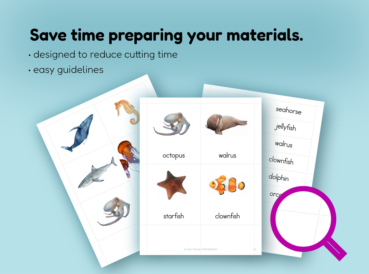 Ocean Animals Nomenclature Cards