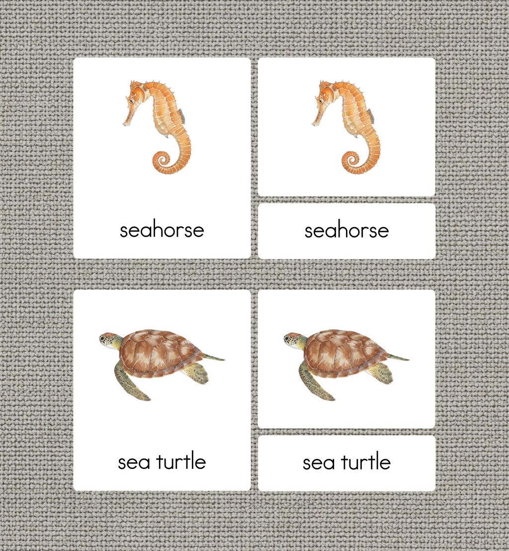 Ocean Animals Nomenclature Cards