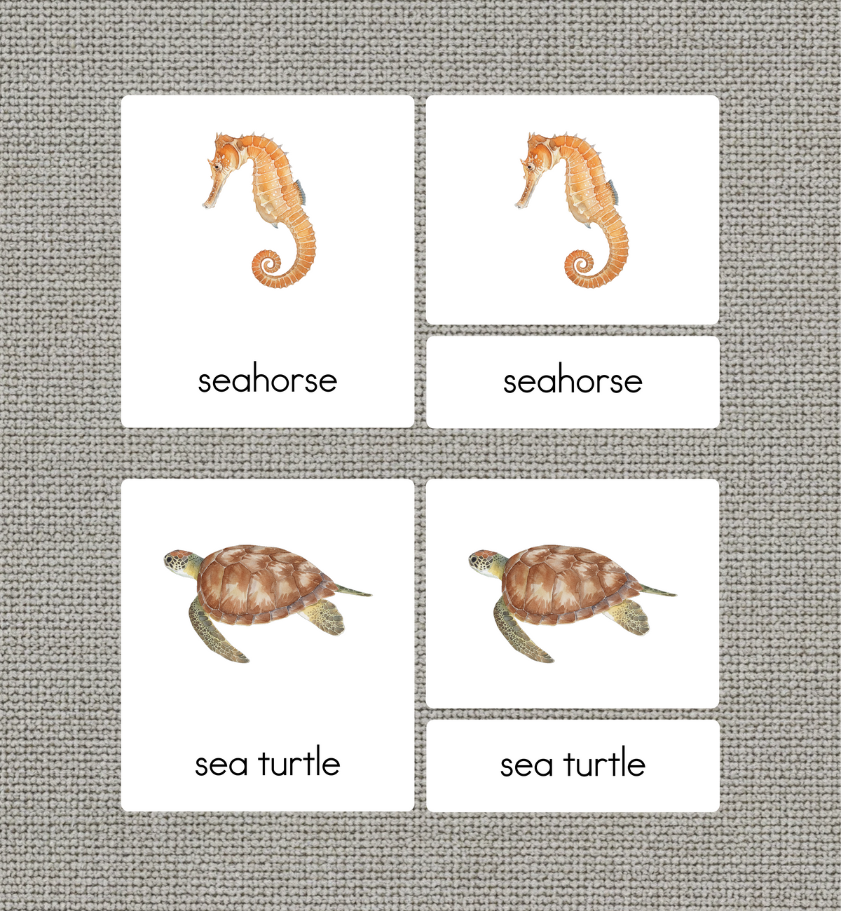 Ocean Animals Nomenclature Cards