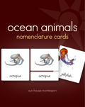 Ocean Animals Nomenclature Cards