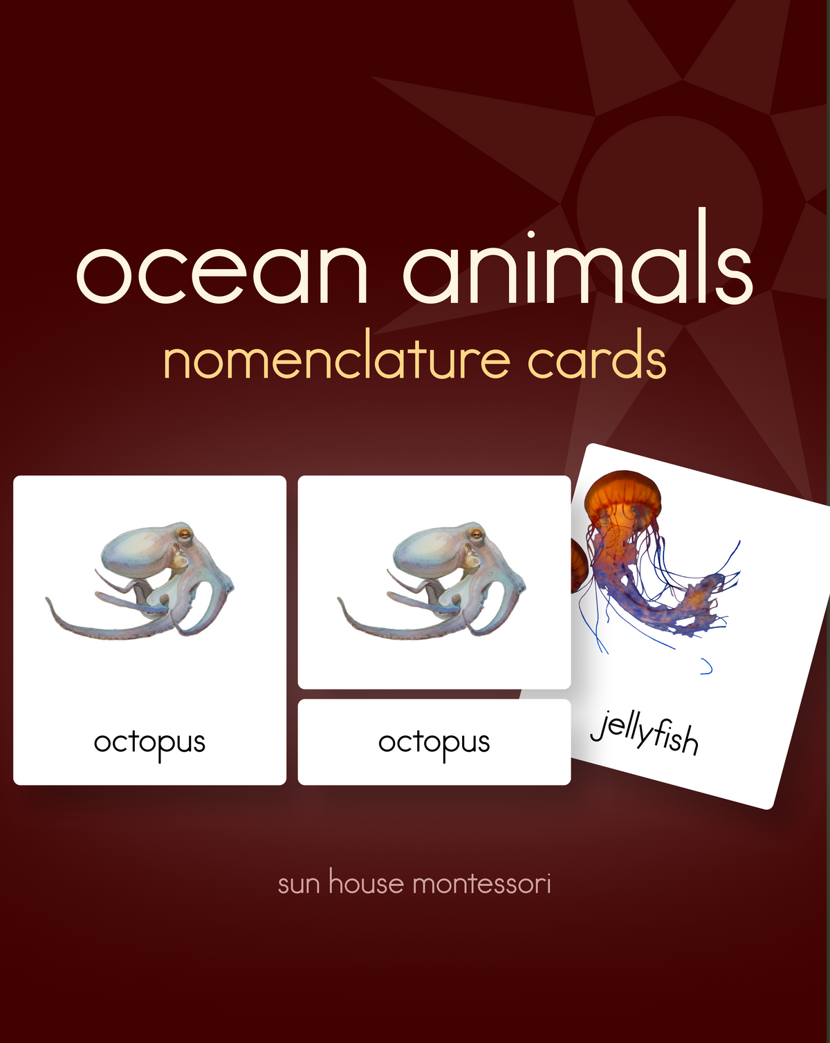 Ocean Animals Nomenclature Cards