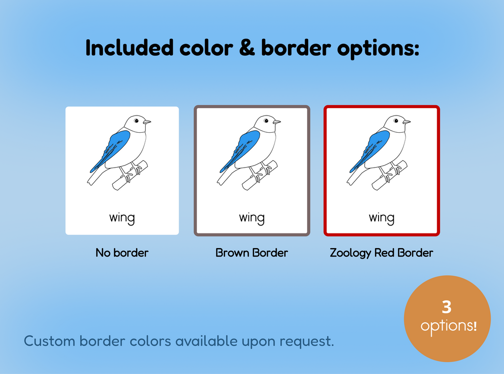 Parts of a Bird Nomenclature Cards