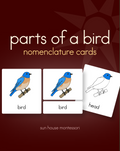 Parts of a Bird Nomenclature Cards