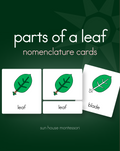 Parts of a Leaf Nomenclature Cards