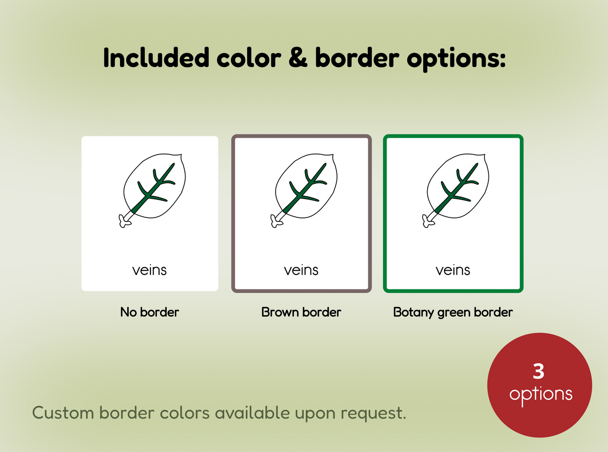Parts of a Leaf Nomenclature Cards