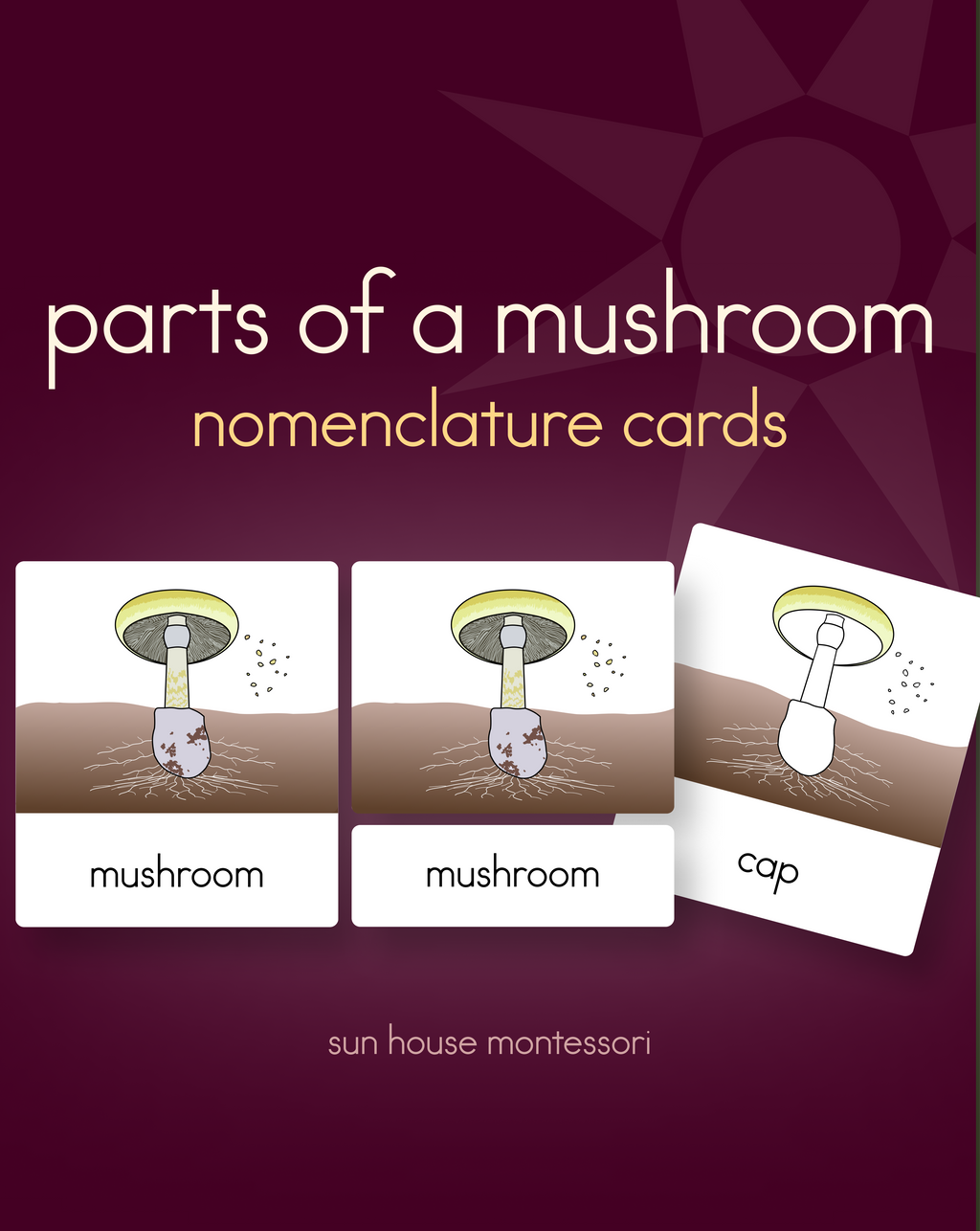 Parts of a Mushroom Nomenclature Cards