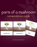 Parts of a Mushroom Nomenclature Cards