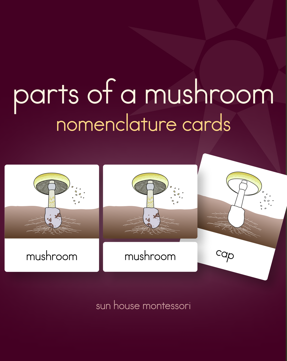 Parts of a Mushroom Nomenclature Cards