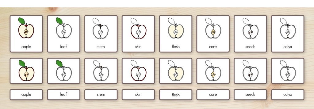 Parts of an Apple Nomenclature Cards