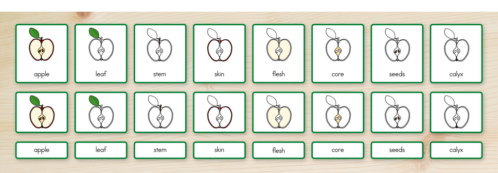 Parts of an Apple Nomenclature Cards