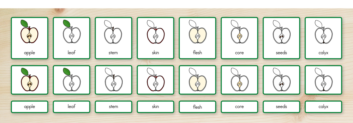 Parts of an Apple Nomenclature Cards
