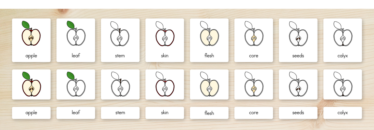 Parts of an Apple Nomenclature Cards