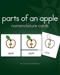 Parts of an Apple Nomenclature Cards