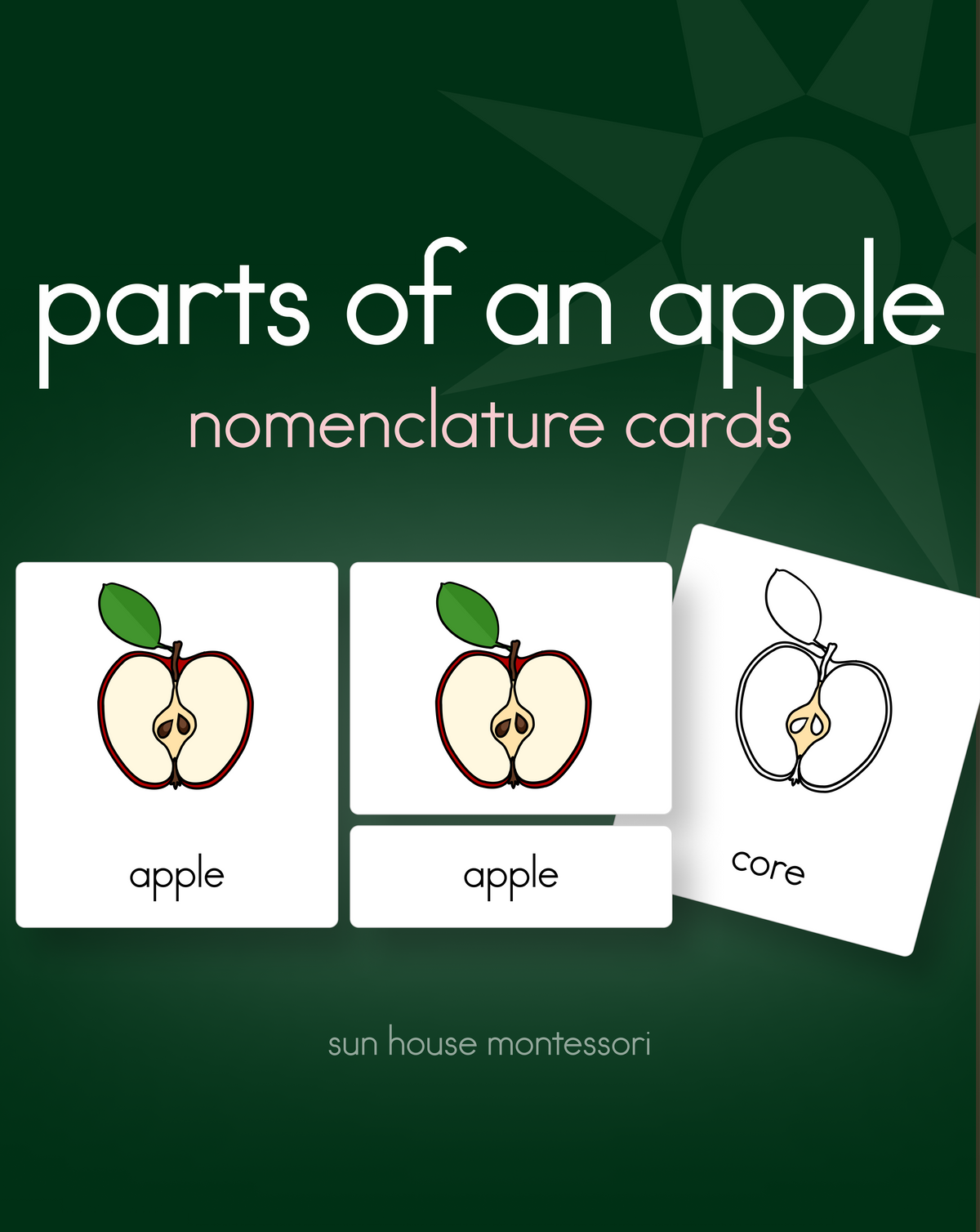 Parts of an Apple Nomenclature Cards