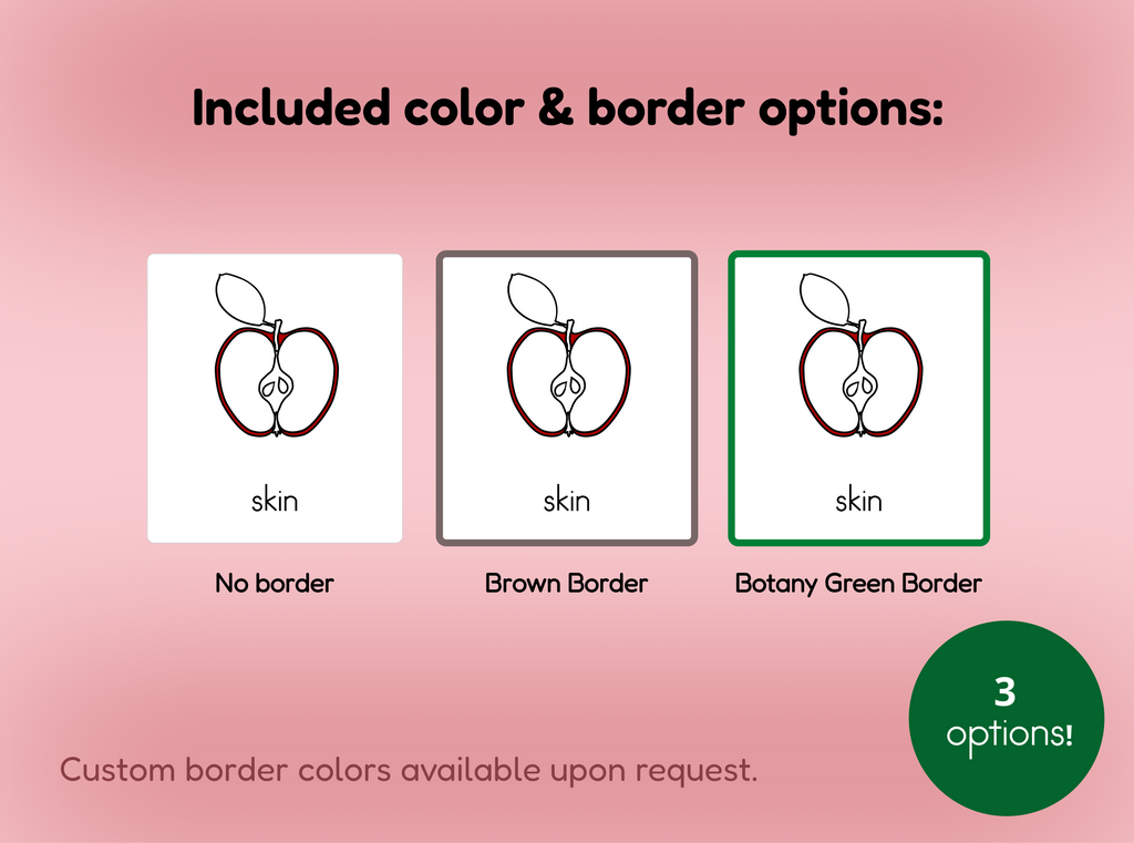 Parts of an Apple Nomenclature Cards