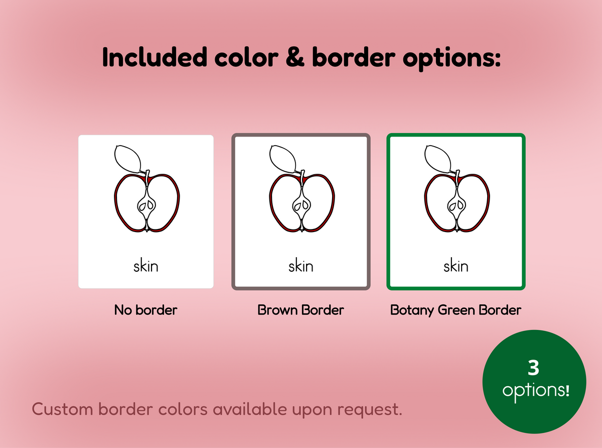 Parts of an Apple Nomenclature Cards