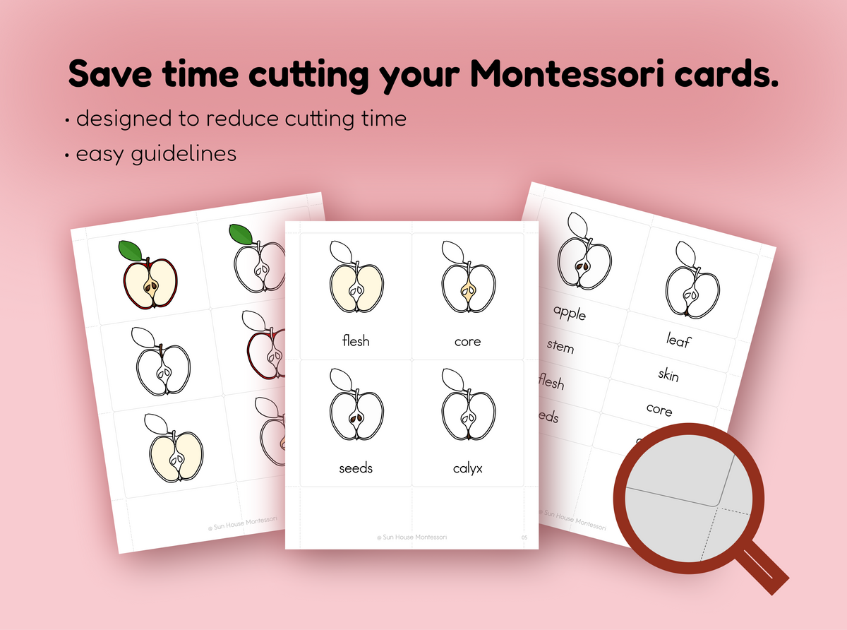 Parts of an Apple Nomenclature Cards