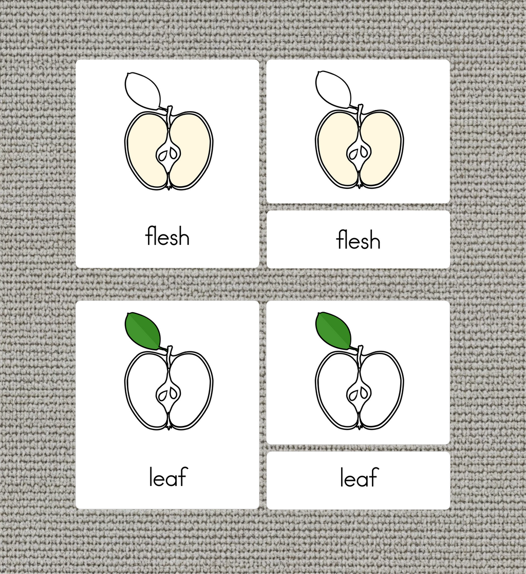 Parts of an Apple Nomenclature Cards