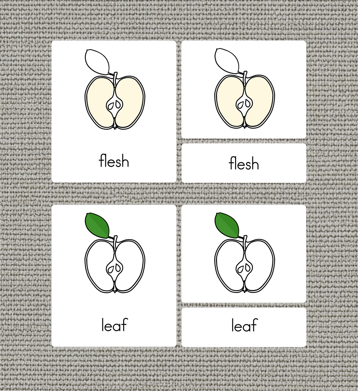 Parts of an Apple Nomenclature Cards