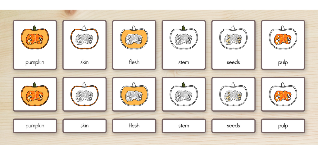 Parts of a Pumpkin Nomenclature Cards