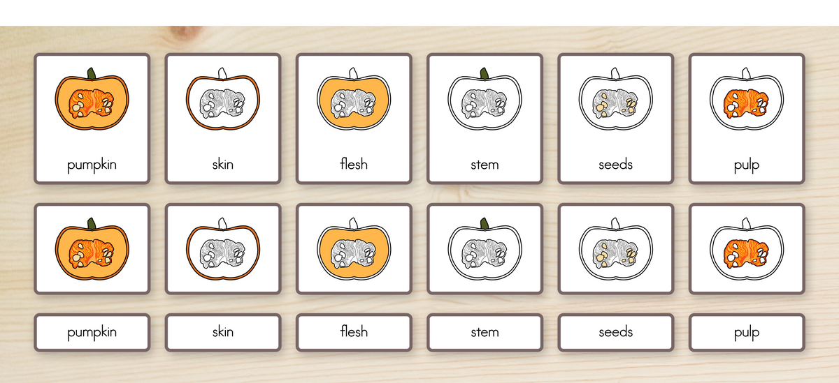 Parts of a Pumpkin Nomenclature Cards