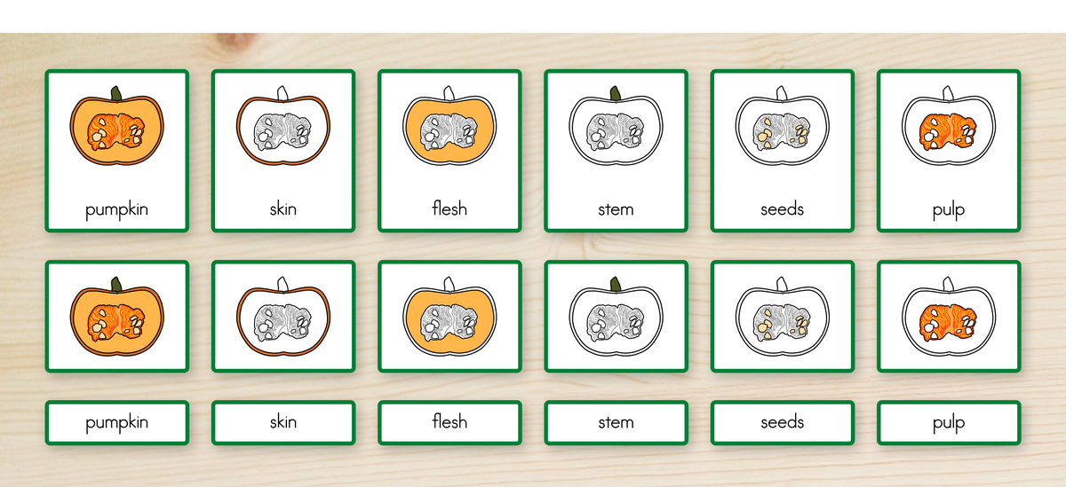 Parts of a Pumpkin Nomenclature Cards