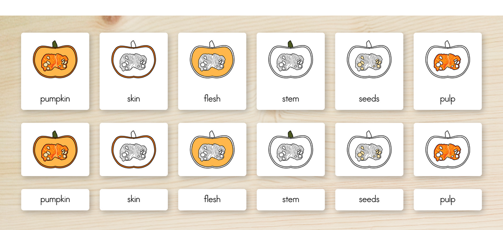 Parts of a Pumpkin Nomenclature Cards