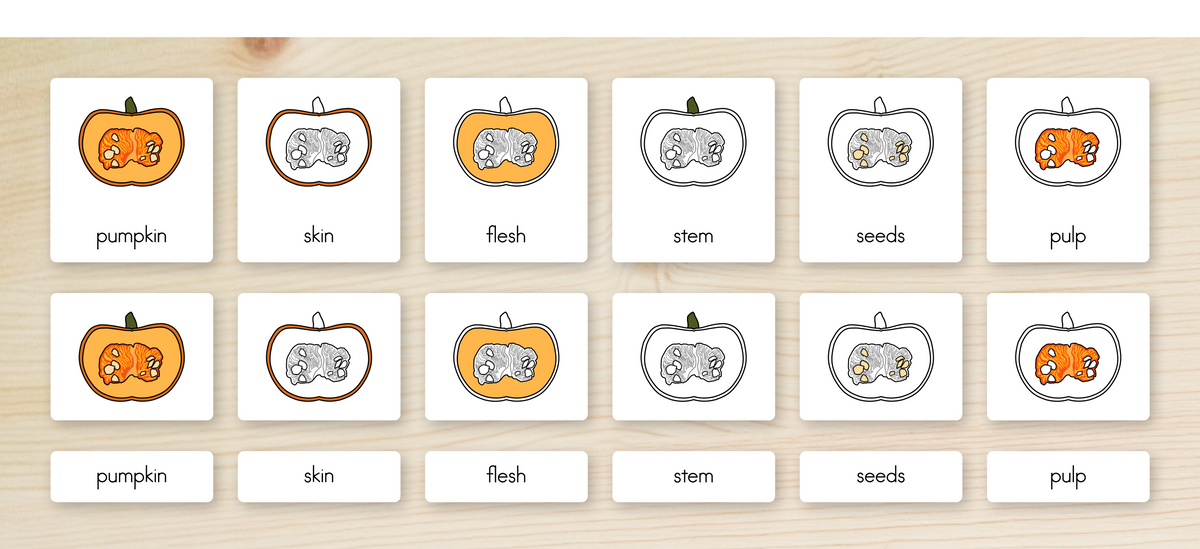 Parts of a Pumpkin Nomenclature Cards
