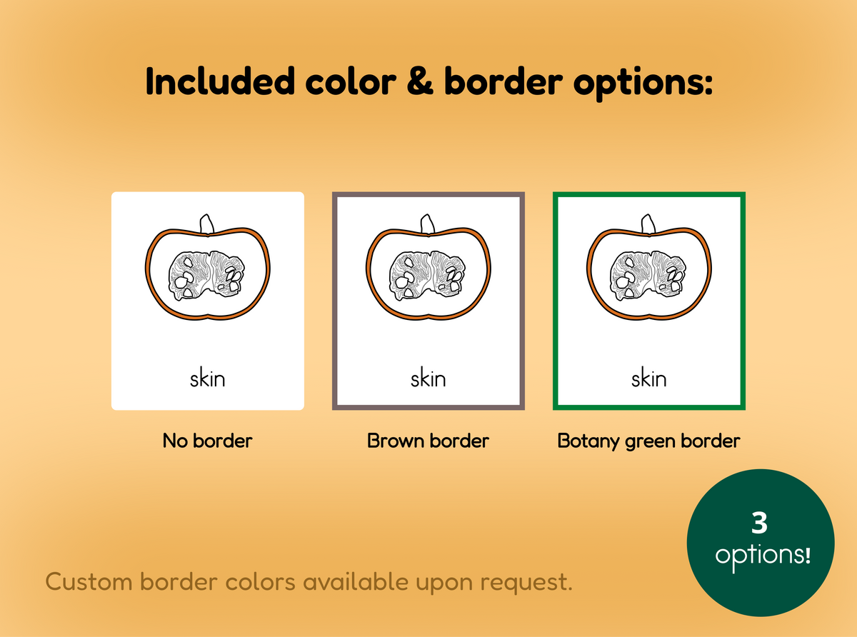 Parts of a Pumpkin Nomenclature Cards
