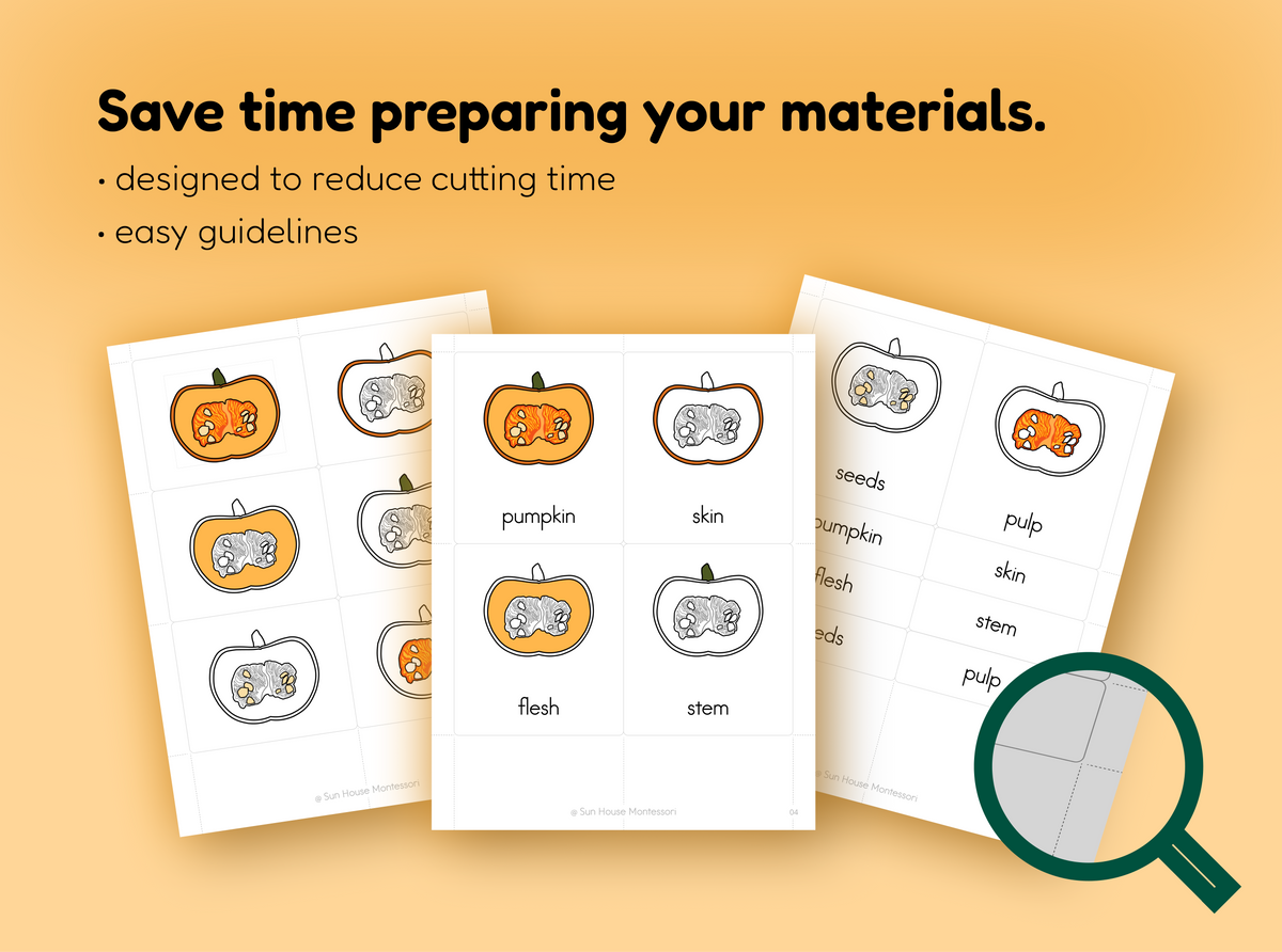 Parts of a Pumpkin Nomenclature Cards
