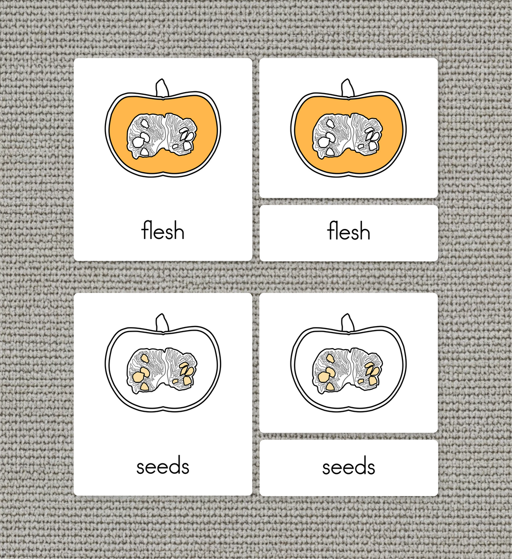 Parts of a Pumpkin Nomenclature Cards