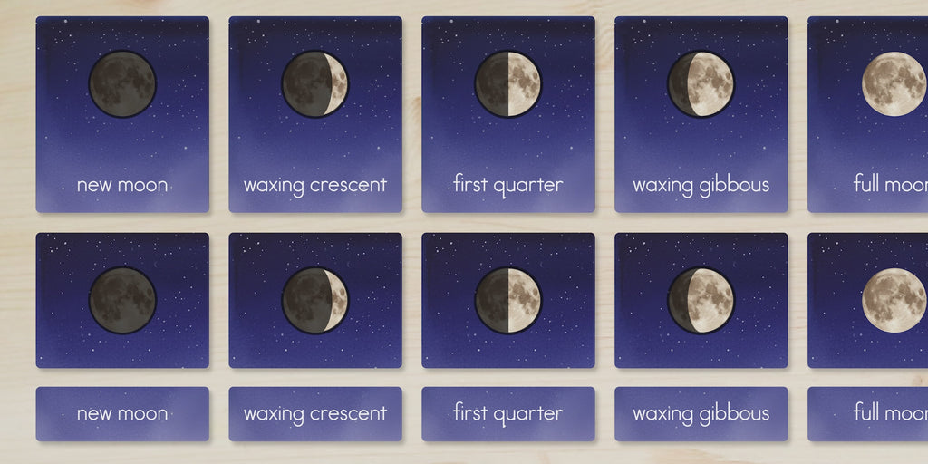 Moon Phases Nomenclature Cards