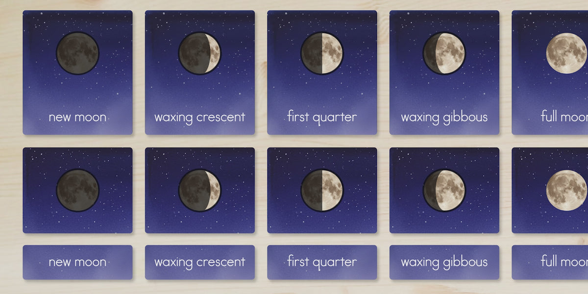 Moon Phases Nomenclature Cards