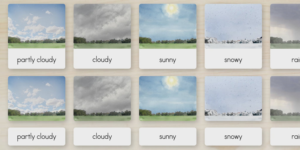 Weather Nomenclature Cards + Matching Activity
