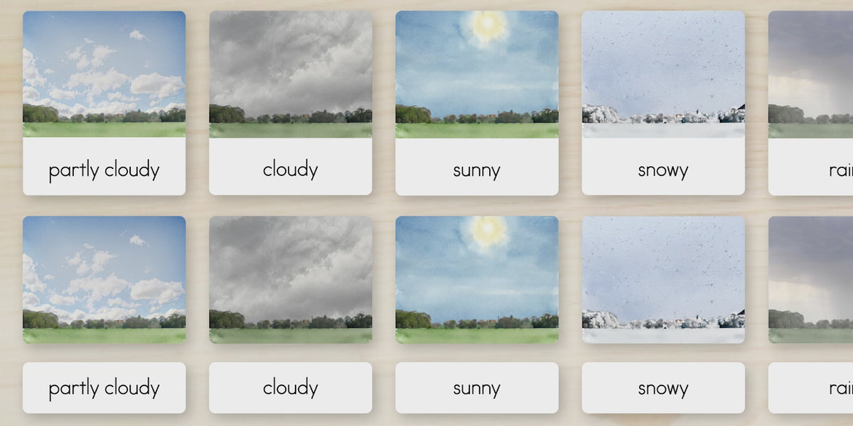 Weather Nomenclature Cards + Matching Activity