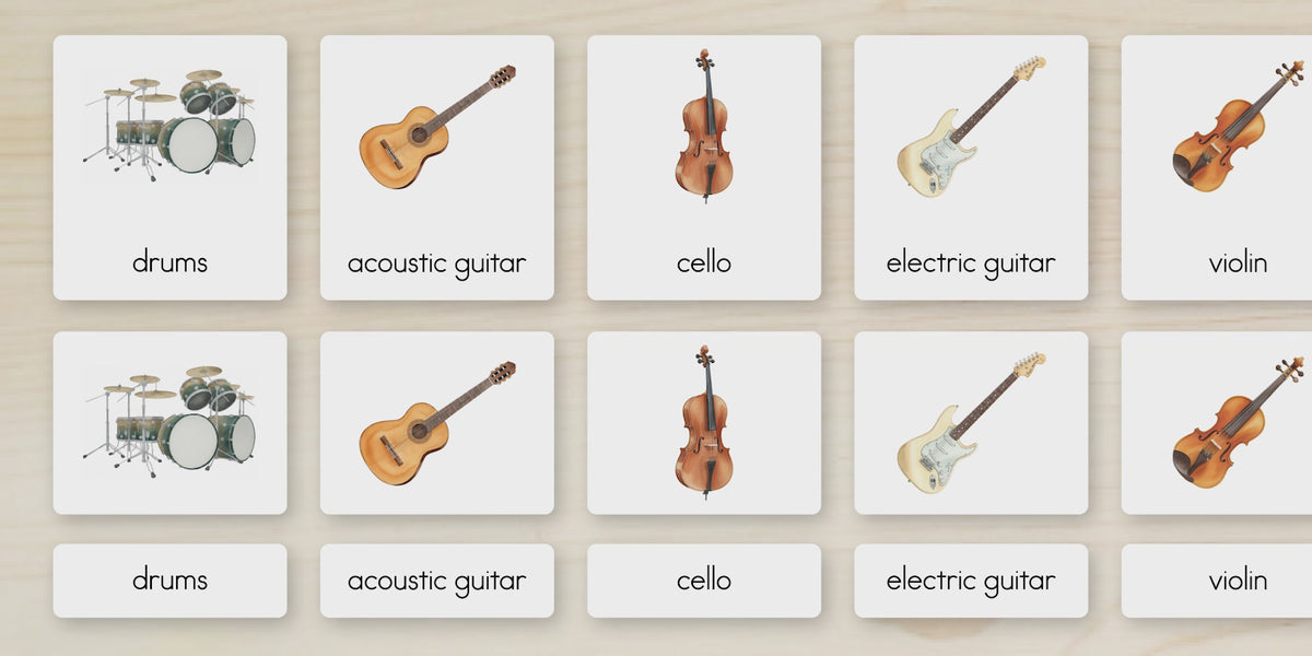 Musical Instruments Nomenclature Cards