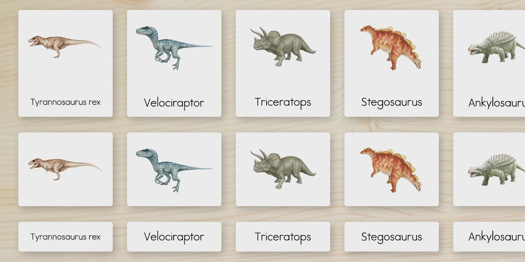 Dinosaurs Nomenclature Cards