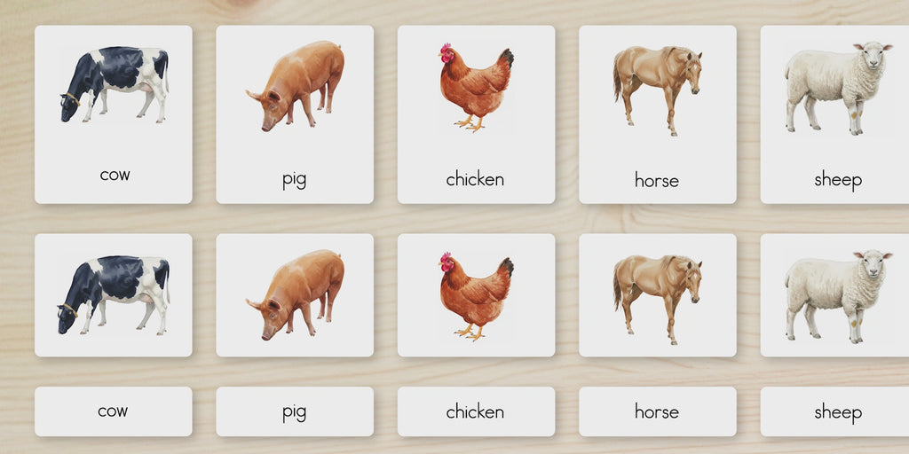 Farm Animals Nomenclature Cards