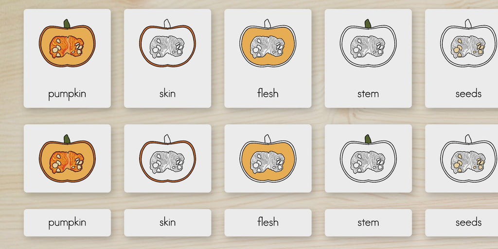 Parts of a Pumpkin Nomenclature Cards