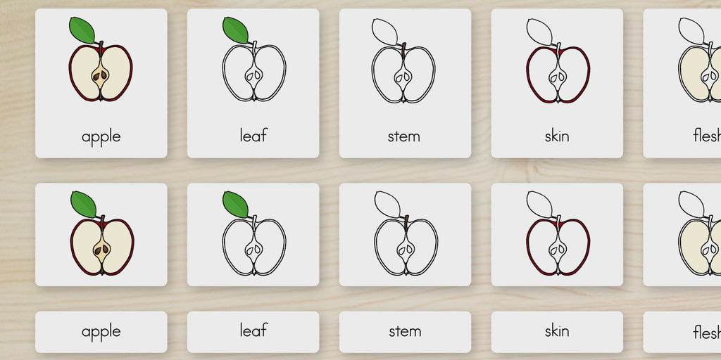 Parts of an Apple Nomenclature Cards