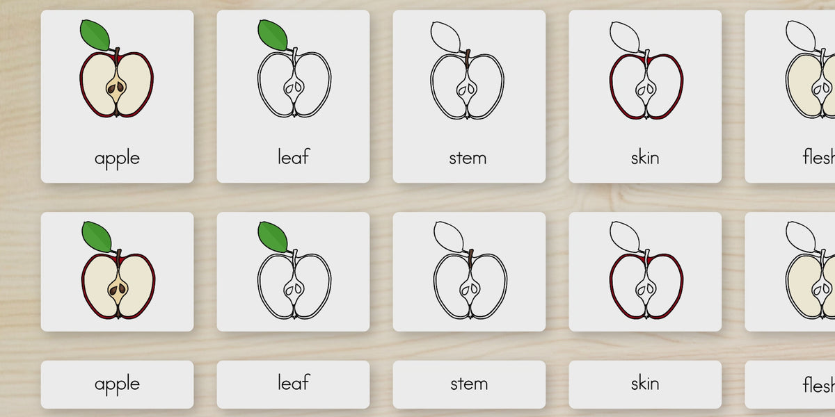 Parts of an Apple Nomenclature Cards