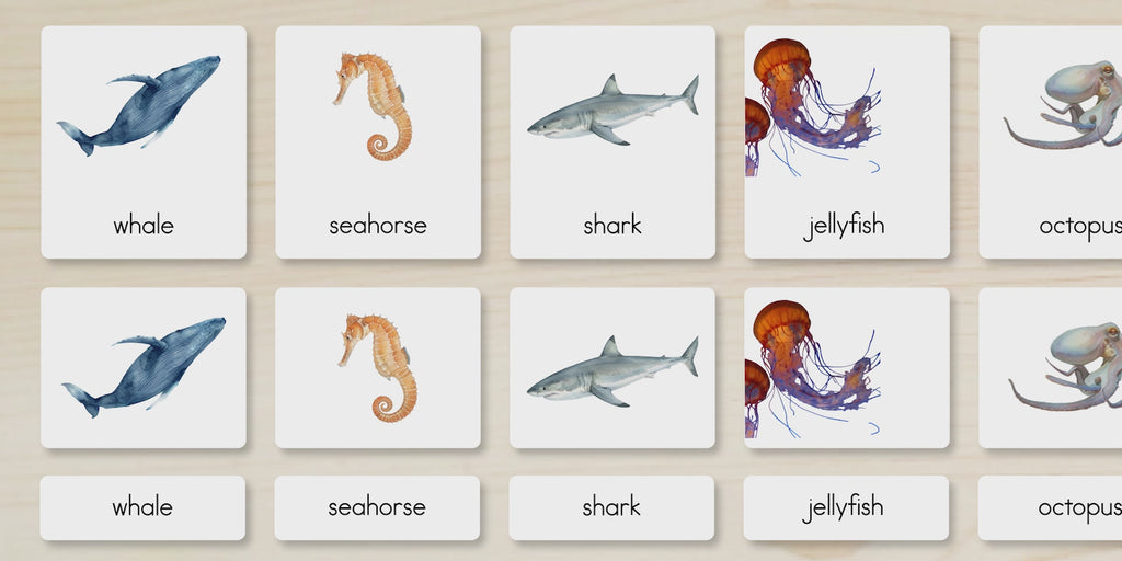 Ocean Animals Nomenclature Cards
