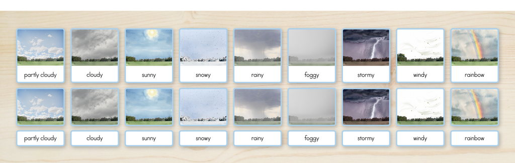 Weather Nomenclature Cards + Matching Activity