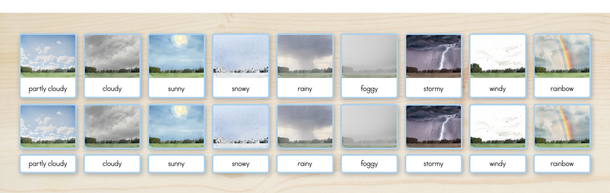 Weather Nomenclature Cards + Matching Activity