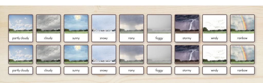 Weather Nomenclature Cards + Matching Activity