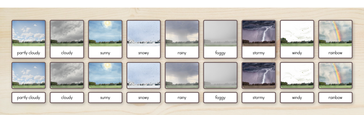 Weather Nomenclature Cards + Matching Activity