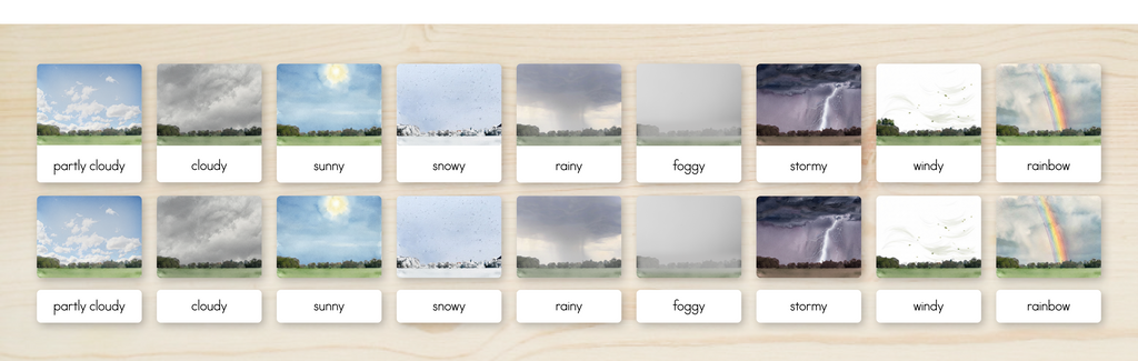 Weather Nomenclature Cards + Matching Activity