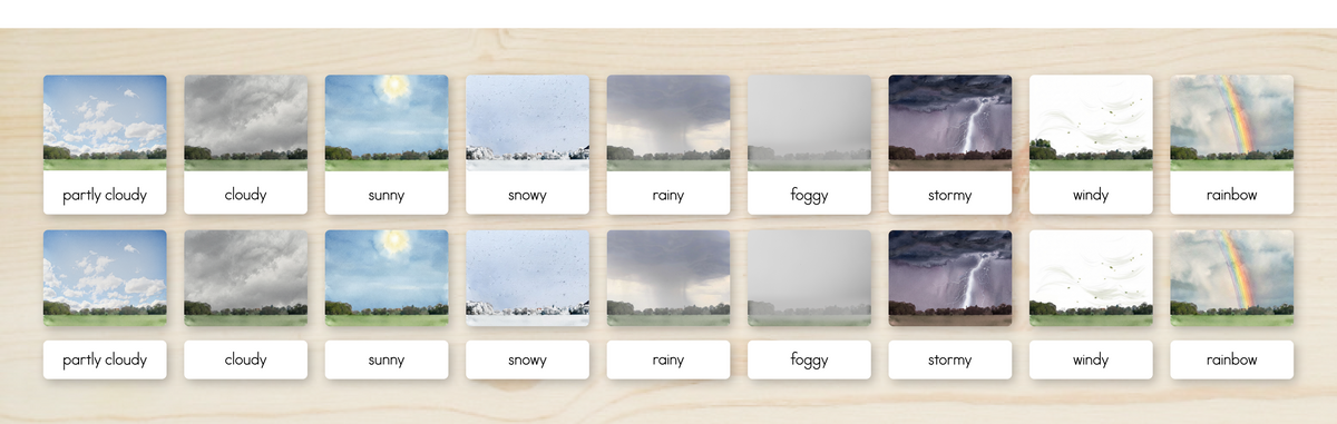Weather Nomenclature Cards + Matching Activity