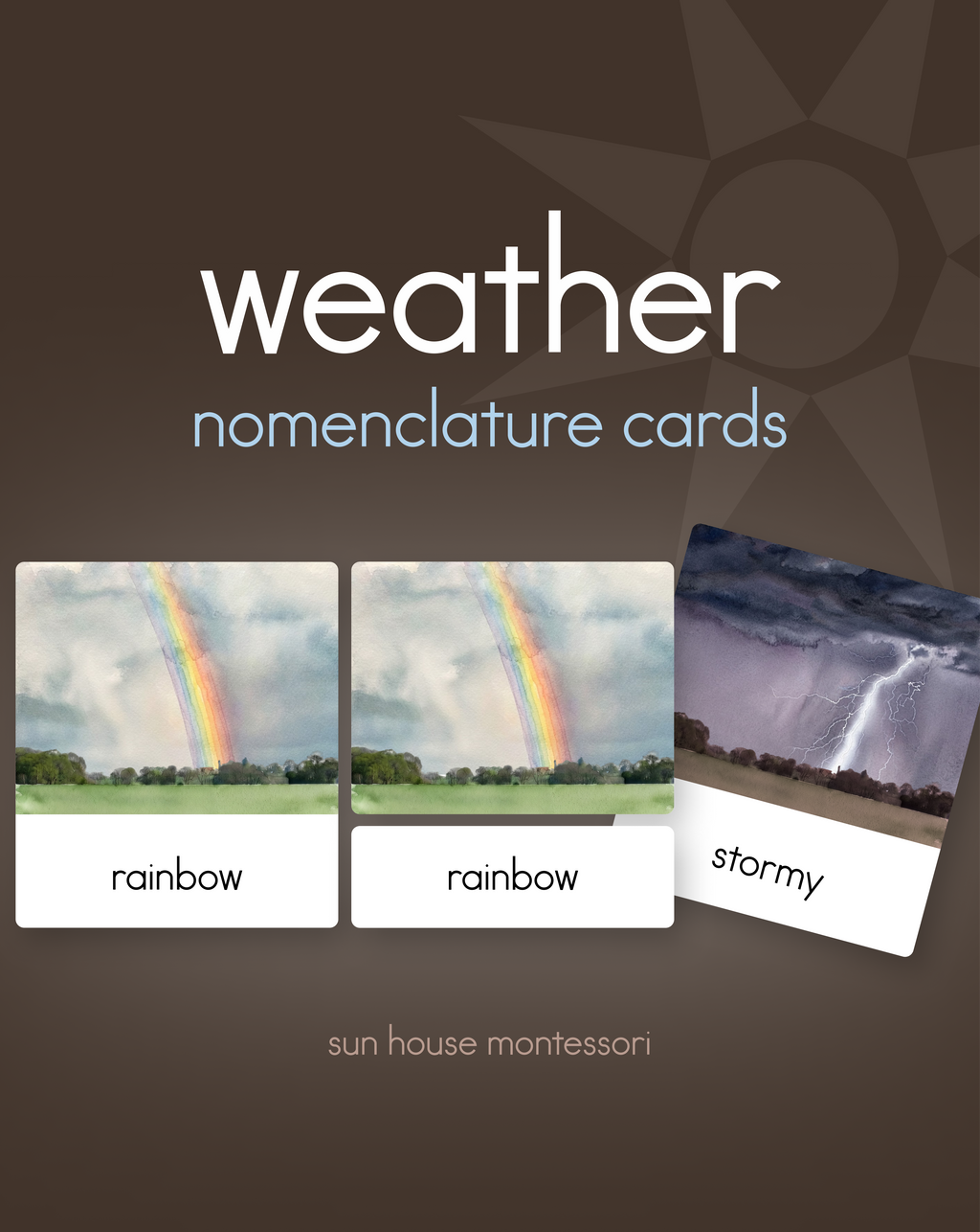 Weather Nomenclature Cards + Matching Activity