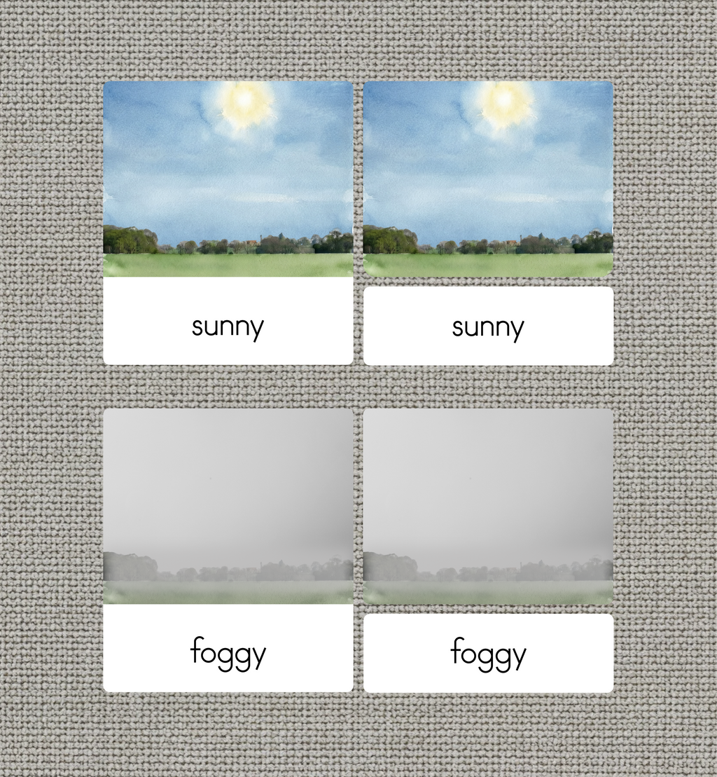 Weather Nomenclature Cards + Matching Activity